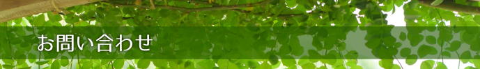 お問い合わせ