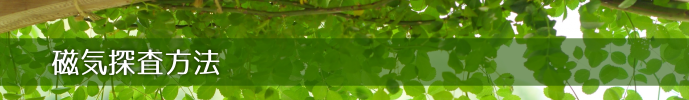 磁気探査方法